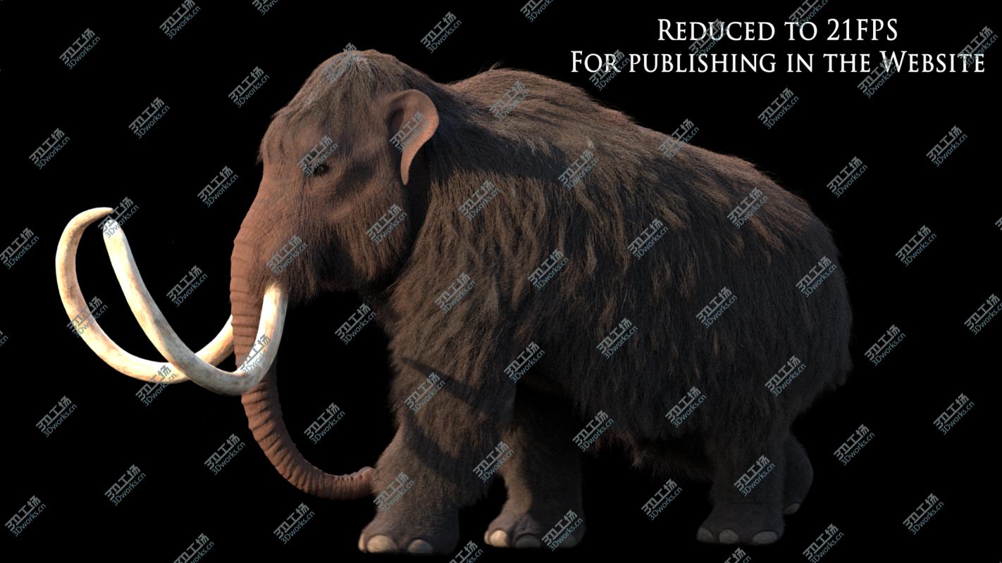 images/goods_img/20210319/3D Mammuthus primigenius Anatomy Pack model/4.jpg